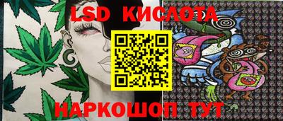 PSILOCYBIN Бугуруслан