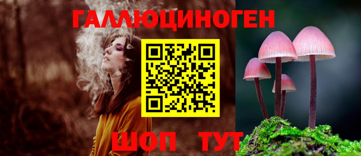 Озёрск  Псилоцибиновые грибы прущие грибы  Вход с VPN 